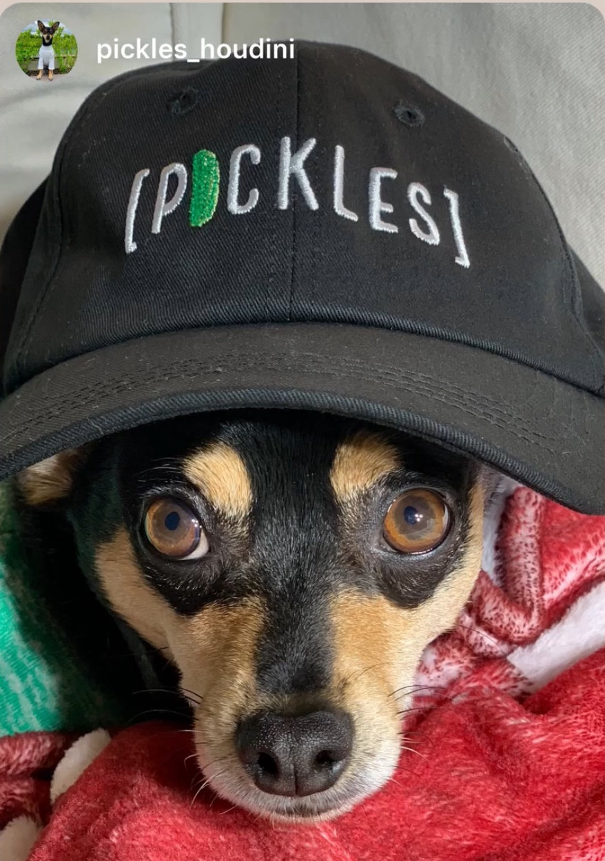 Pickle Cap Hat - Evergreen and Market