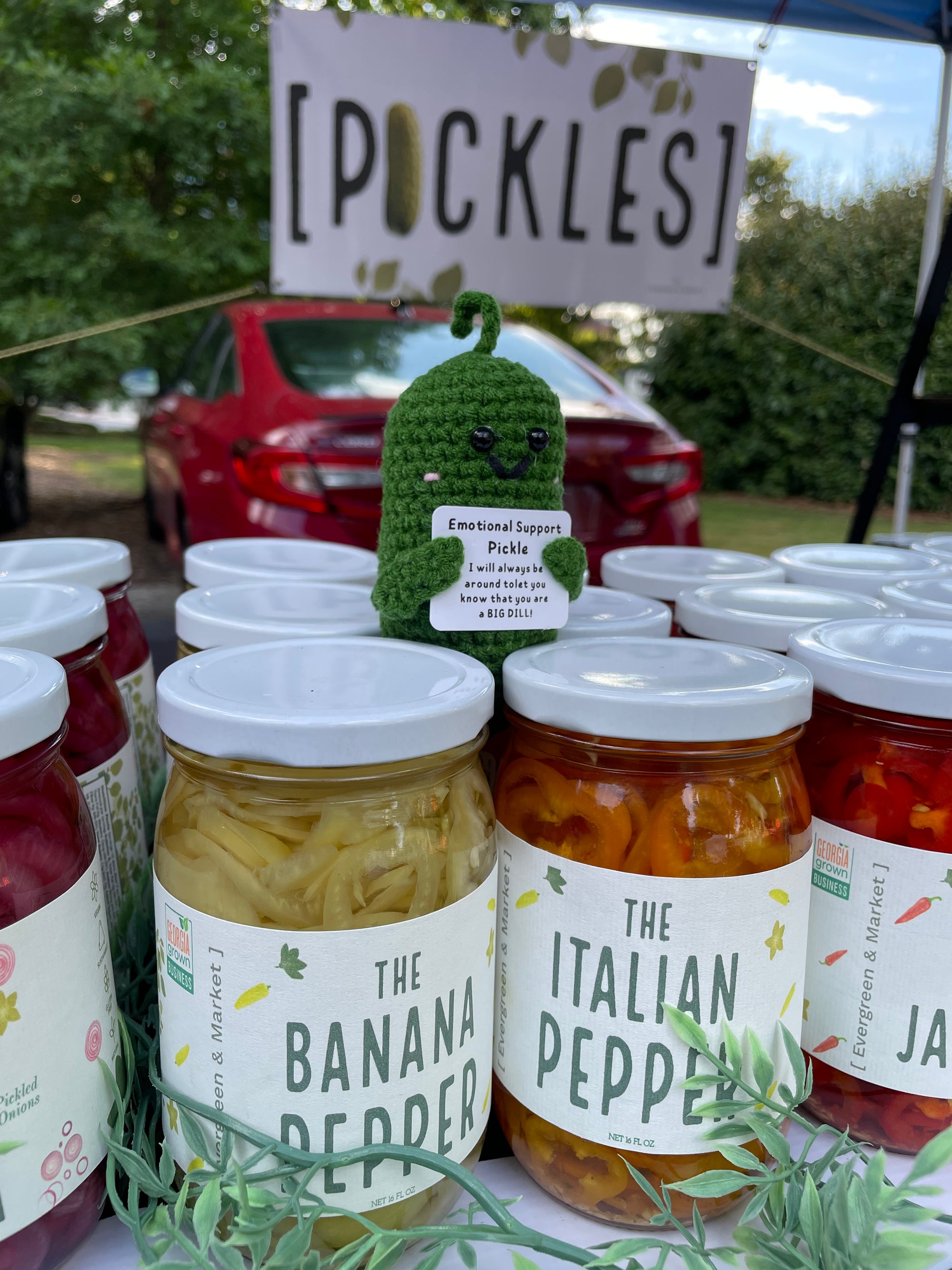 [PICKLED THINGS] - Evergreen and Market