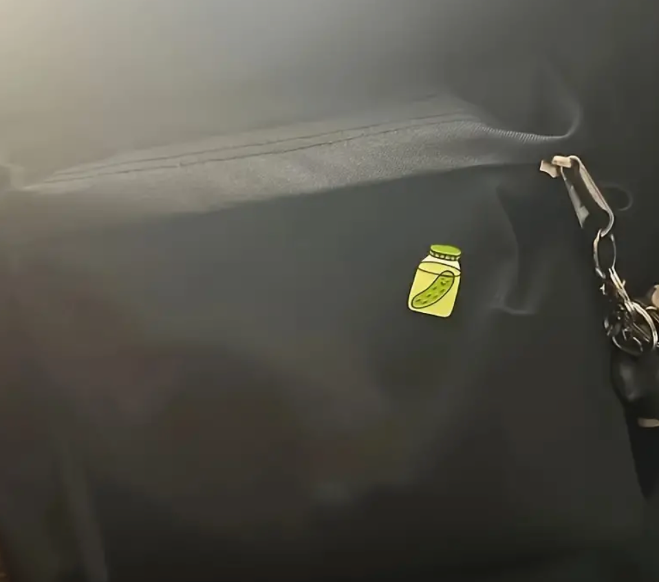 Pickle pins and earrings set displayed together